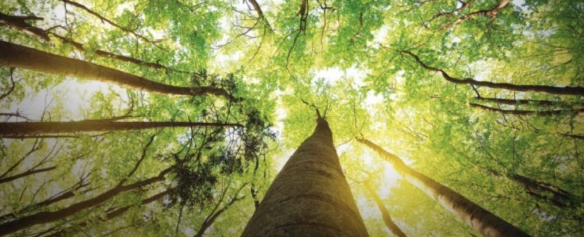 Pac, Piano aria e clima: tutti gli appuntamenti in programma a Brescia