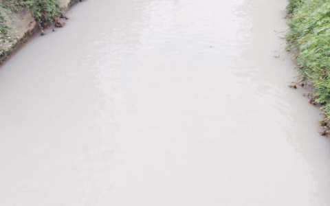 La roggia Gambaresca si tinge di bianco: indagini in corso