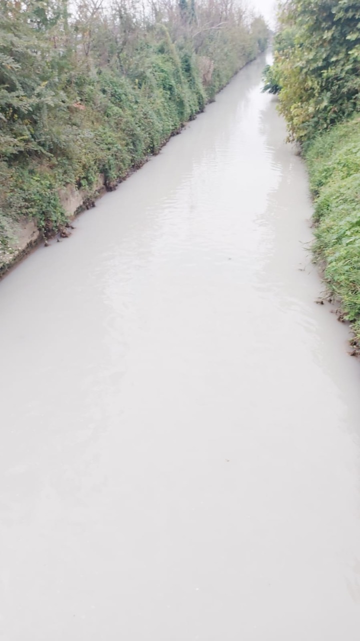 La roggia Gambaresca si tinge di bianco: indagini in corso