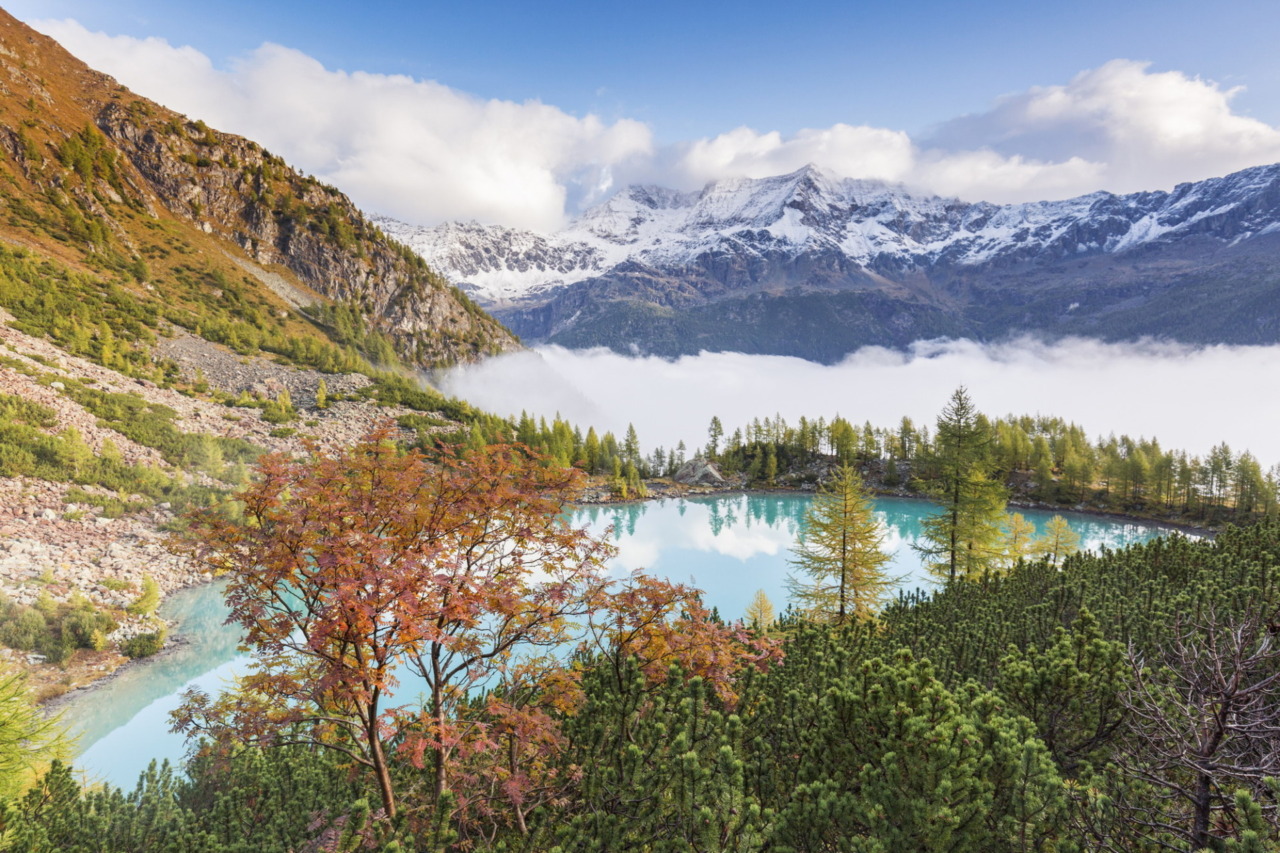 Autunno in Valtellina: una vera “Golden Season” tra scoperta, relax e paesaggi che emozionano