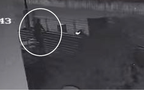 Valtenesi, i ladri non vanno in vacanza