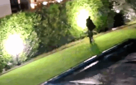 Con l’autunno tornano i ladri sul Garda: sparito anche un orologio da 150mila euro