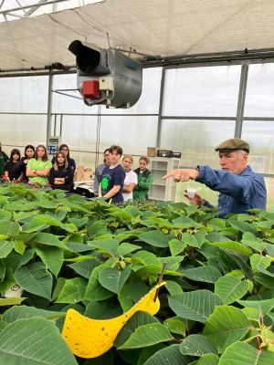 All’Agraria Bonsignori gli insetti lavorano per salvare le stelle di Natale