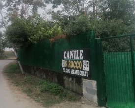 Il canile di San Rocco finisce sotto accusa: la denuncia dei volontari