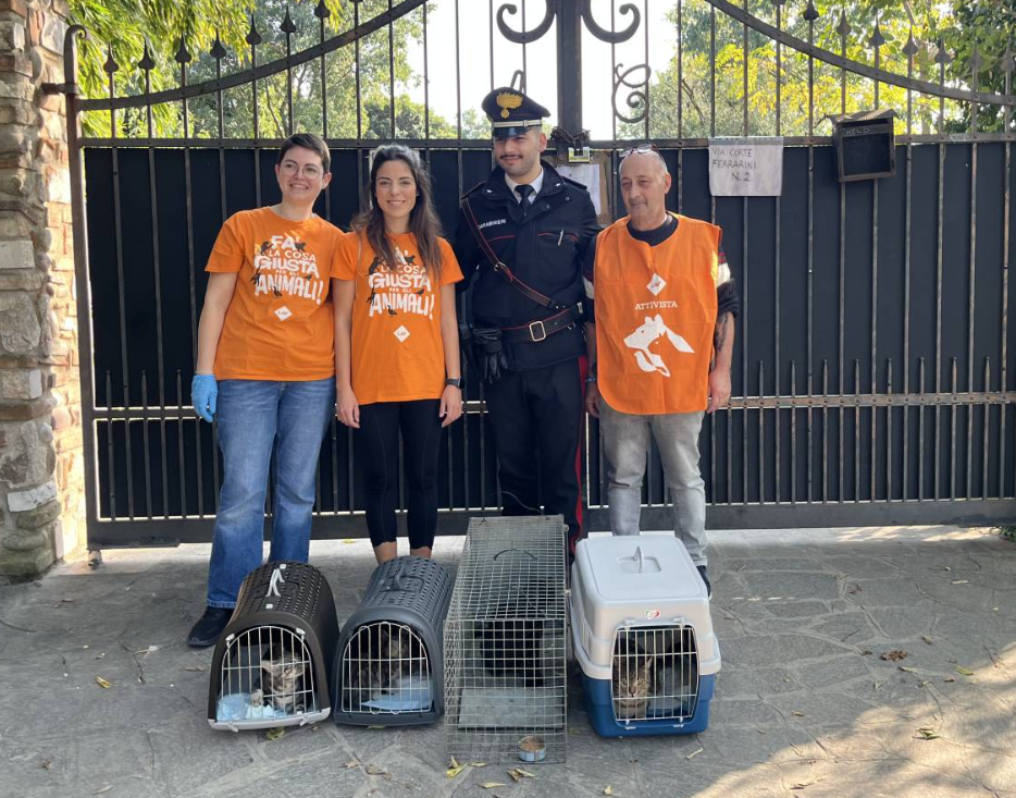 Abbandonati al campo nomadi dopo l’omicidio:  cani e gatti cercano  una famiglia