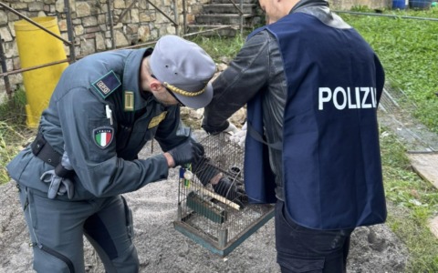 Cacciava in modo illegale: 45enne arrestato