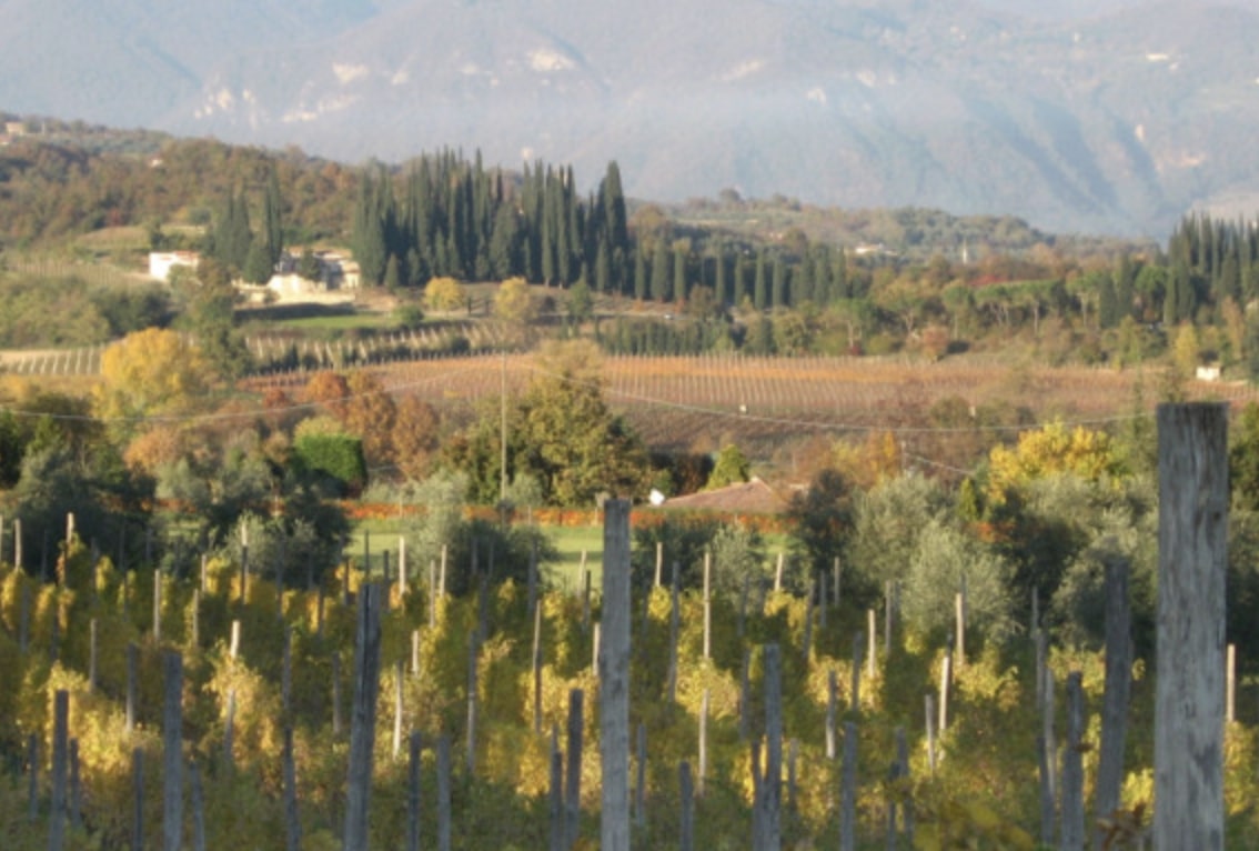 Paesaggio Garda Festival: gli appuntamenti del fine settimana