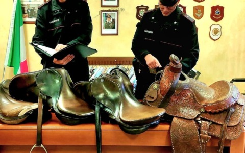 Rubano sette selle da equitazione e le mettono in vendita su internet: coppia denunciata a piede libero