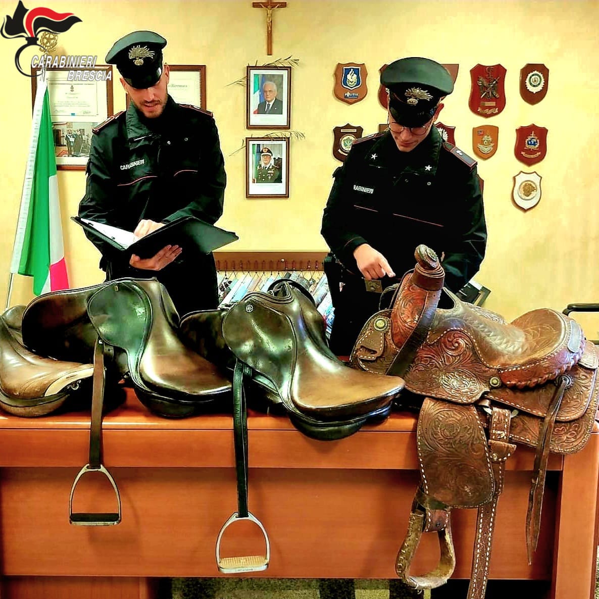 Rubano sette selle da equitazione e le mettono in vendita su internet: coppia denunciata a piede libero