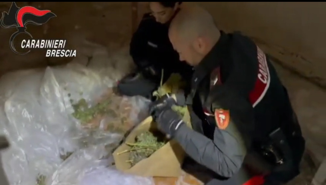 Sette chili di marijuana nell’appartamento in ristrutturazione: denunciati due minori