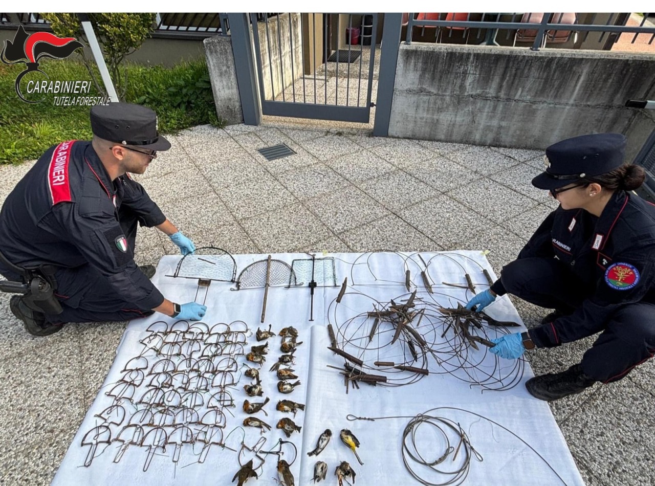 Spaccio e porto abusivo di armi: arrestato un 29enne
