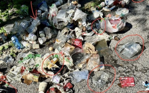 Abbandono dei rifiuti: 49 le sanzioni elevate dall’inizio dell’anno in Valle Sabbia