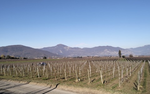 Accusa un malore mentre è a cavallo: nulla da fare per un 55enne di Erbusco