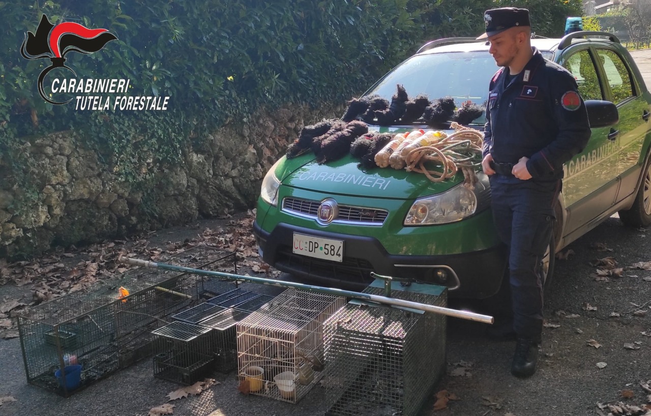 Bracconaggio: denunciato un 78enne, trovati 130 metri di reti illegali