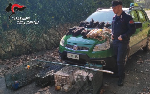 Bracconaggio: denunciato un 78enne, trovati 130 metri di reti illegali