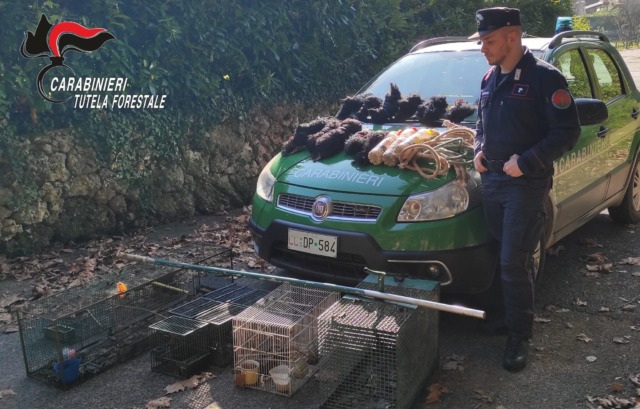 Bracconaggio: denunciato un 78enne, trovati 130 metri di reti illegali