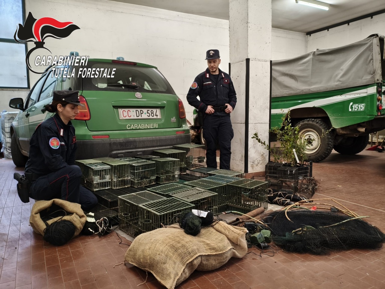I carabinieri forestali scoprono 4 siti di cattura illegale di uccelli a casa di un 79enne