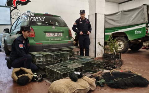 I carabinieri forestali scoprono 4 siti di cattura illegale di uccelli a casa di un 79enne