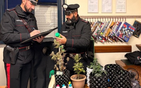 Produzione e detenzione di stupefacenti: nei guai un 35enne
