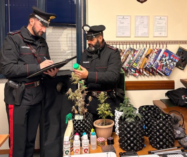 Produzione e detenzione di stupefacenti: nei guai un 35enne