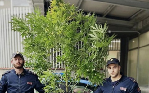 Non restituisce l’auto noleggiata ma il Gps lo incastra: denunciato un pusher 53enne