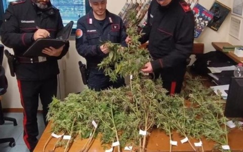 Stava caricando marijuana sull’auto: 75enne finisce in manette