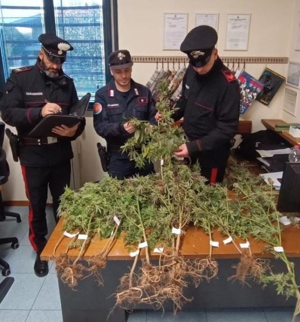 Stava caricando marijuana sull’auto: 75enne finisce in manette