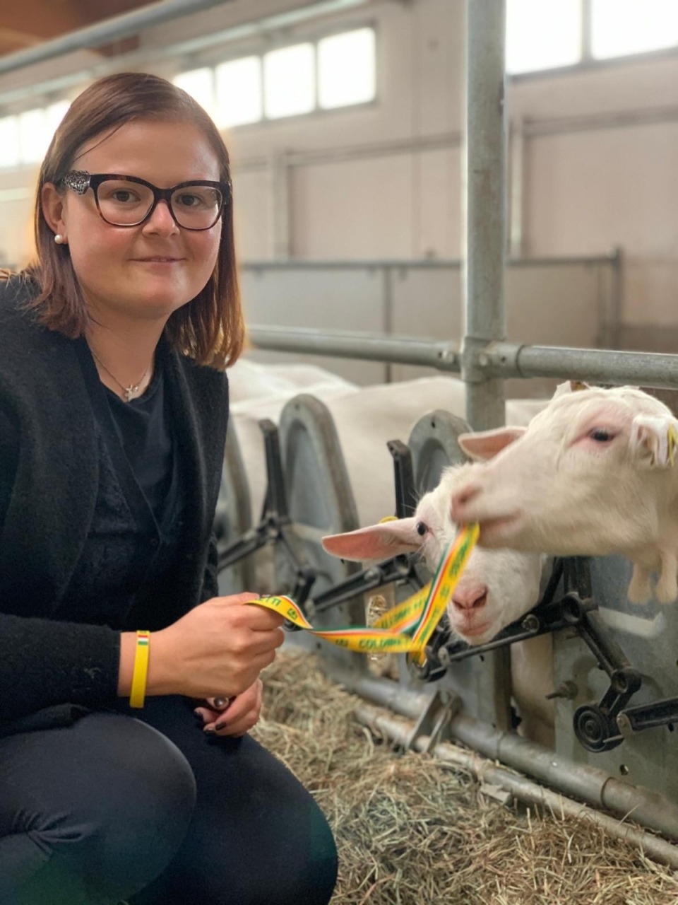 Stella Verde Michelin all’azienda agricola Il Colmetto
