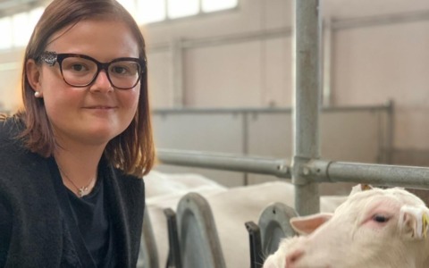 Stella Verde Michelin all’azienda agricola Il Colmetto