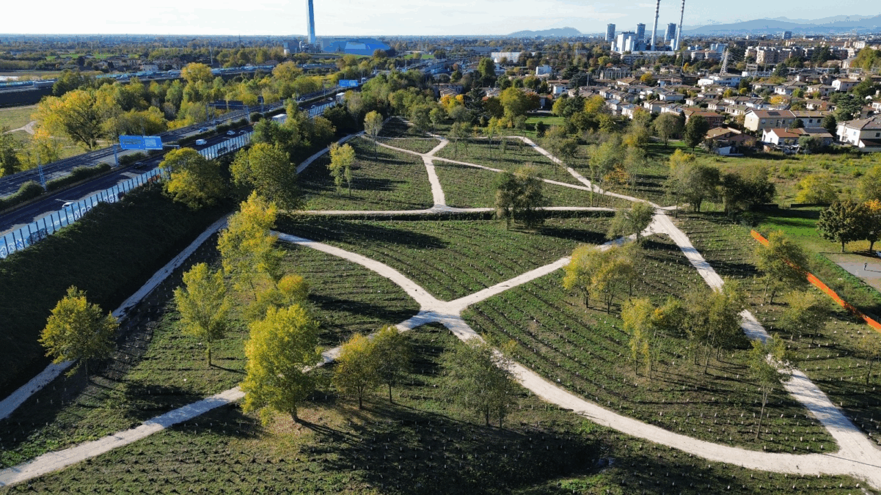 Tangenziale Sud: prosegue il progetto di mitigazione ambientale finalizzato all’ampliamento