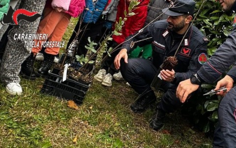 Studenti e Carabinieri Forestali insieme per la Giornata nazionale degli Alberi