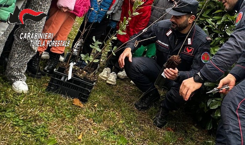 Studenti e Carabinieri Forestali insieme per la Giornata nazionale degli Alberi