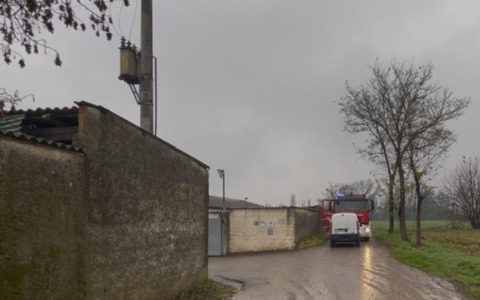 Crolla il tetto di un’azienda agricola, tratti in salvo già 500 maiali. Si scava tra le macerie