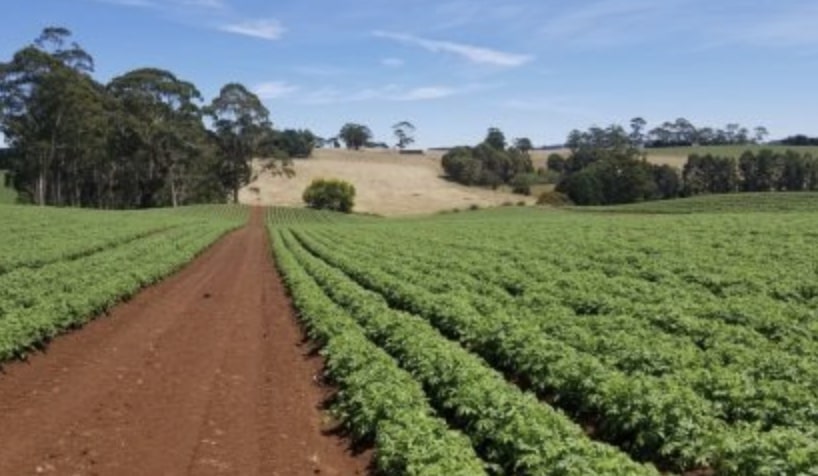 Agricoltura: da Regione Lombardia quasi 5milioni di euro per 578 aziende bresciane “Amiche dell’ambiente”