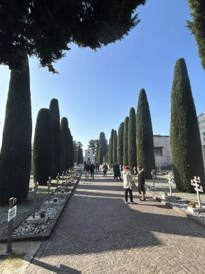 Il Viale delle Rimembranze di Montichiari, un secolo di memoria e storia