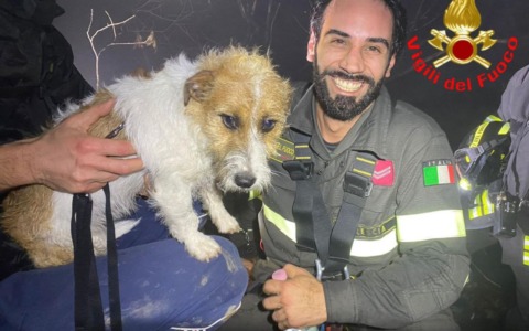 Cane bloccato a ridosso di un dirupo alla Madonna del Corno: salvato dai Vigili del Fuoco