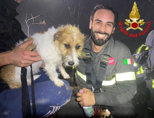Cane bloccato a ridosso di un dirupo alla Madonna del Corno: salvato dai Vigili del Fuoco