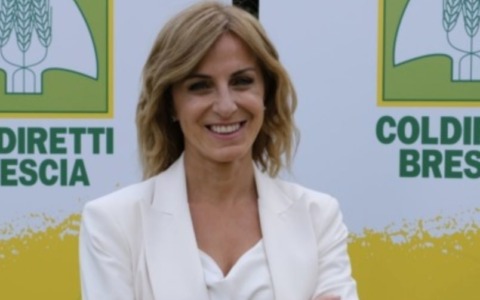 Coldiretti dice “no” al fotovoltaico a terra, Facchetti: “L’energia pulita è un’opportunità”