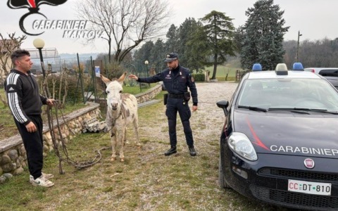 Controlli pre natalizi a Castiglione delle Stiviere: controllati 34 veicoli e 48 persone identificate