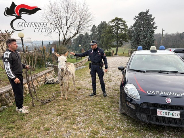Controlli pre natalizi a Castiglione delle Stiviere: controllati 34 veicoli e 48 persone identificate