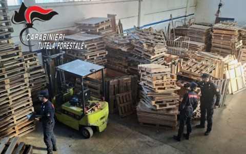 Gestione illecita di rifiuti e contraffazione di marchi: sequestrate 90 tonnellate di bancali, 5mila euro di sanzioni