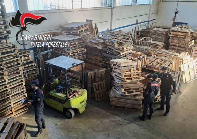 Gestione illecita di rifiuti e contraffazione di marchi: sequestrate 90 tonnellate di bancali, 5mila euro di sanzioni