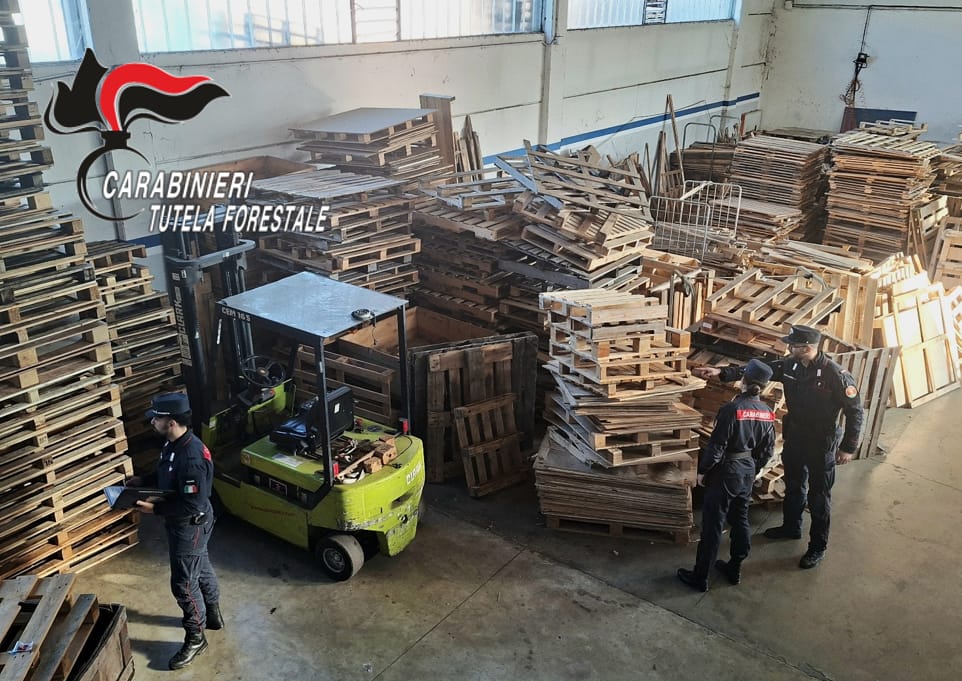 Gestione illecita di rifiuti e contraffazione di marchi: sequestrate 90 tonnellate di bancali, 5mila euro di sanzioni