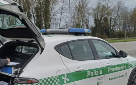 Sinistro sulla Sp37 a Isorella: la Polizia Provinciale individua una presunta auto pirata