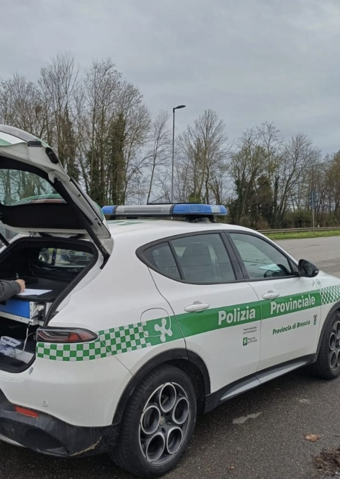 Sinistro sulla Sp37 a Isorella: la Polizia Provinciale individua una presunta auto pirata