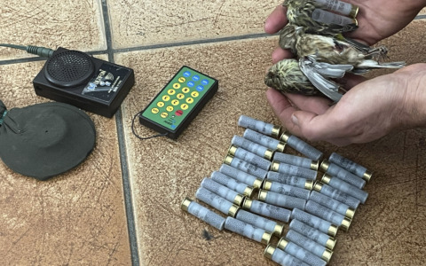 Bracconiere recidivo fermato mentre cacciava avifauna protetta