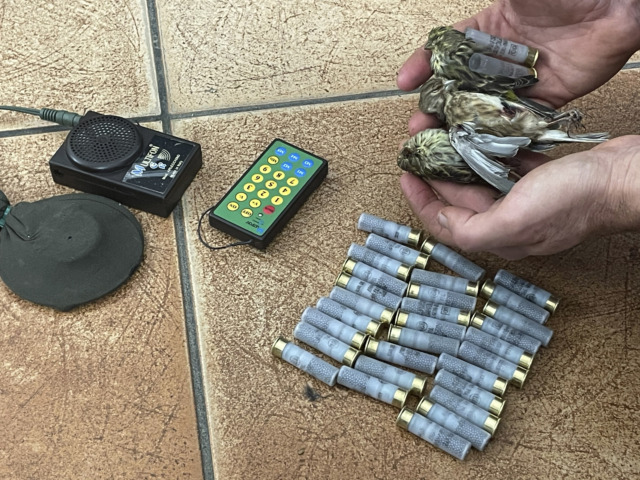 Bracconiere recidivo fermato mentre cacciava avifauna protetta