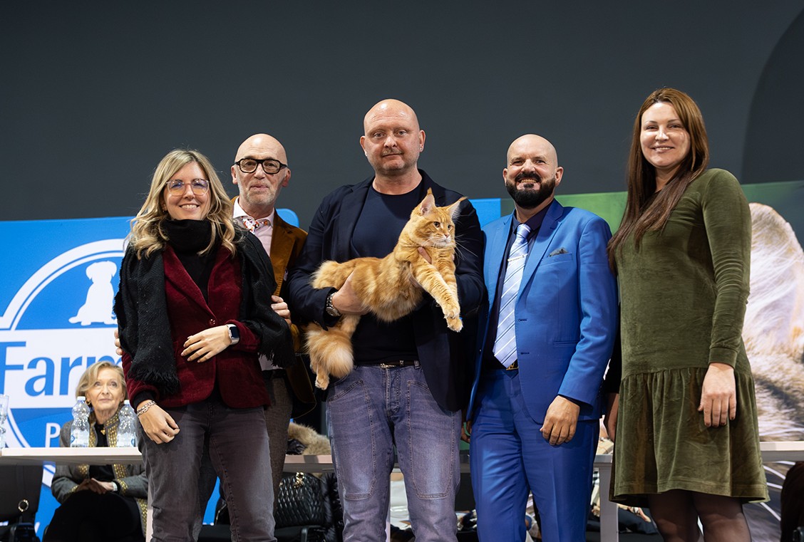 Esposizione Internazionale felina di Padova: il gatto più bello del mondo è il bresciano Abarth