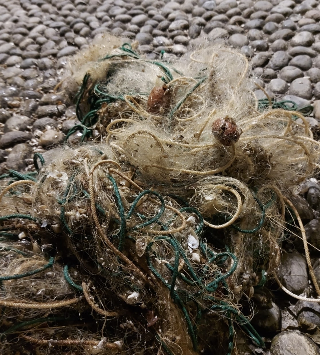 Gargnano: recuperate reti da pesca abbandonate sui fondali