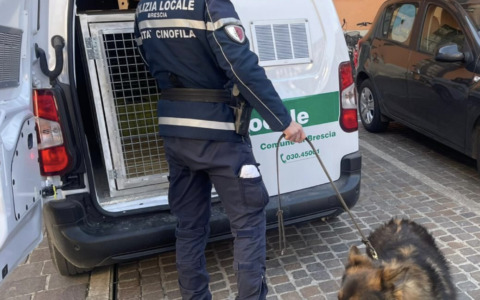 Gavardo, controlli in centro della Locale: violazioni per oltre 4mila euro